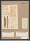 Frustulia rhomboides (Ehr.) De-Toni (de-Toni-Nr.: Genus 19, Species 1159) Zeichnungen Sammlung Grunow Nr. 2258 (NHMW-BOT-W0369363)